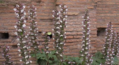 novel-gazing: a prologue