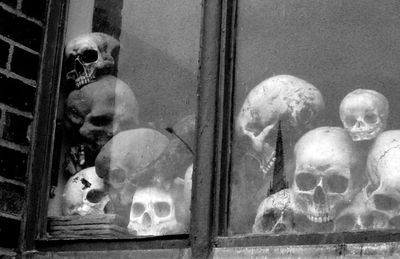 The Culling and the End of Empathy