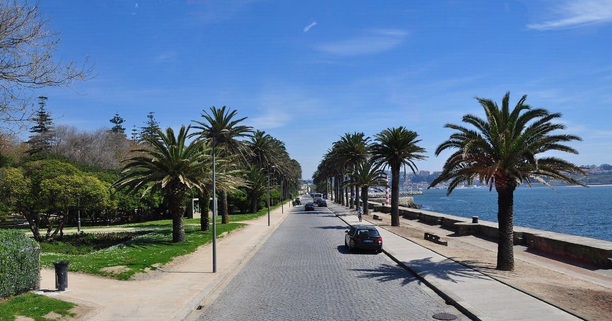 É o Dia Europeu Sem Carros e o Porto não anunciou nada. Mas a Foz já fechou uma avenida aos carros, todos os fins de semana