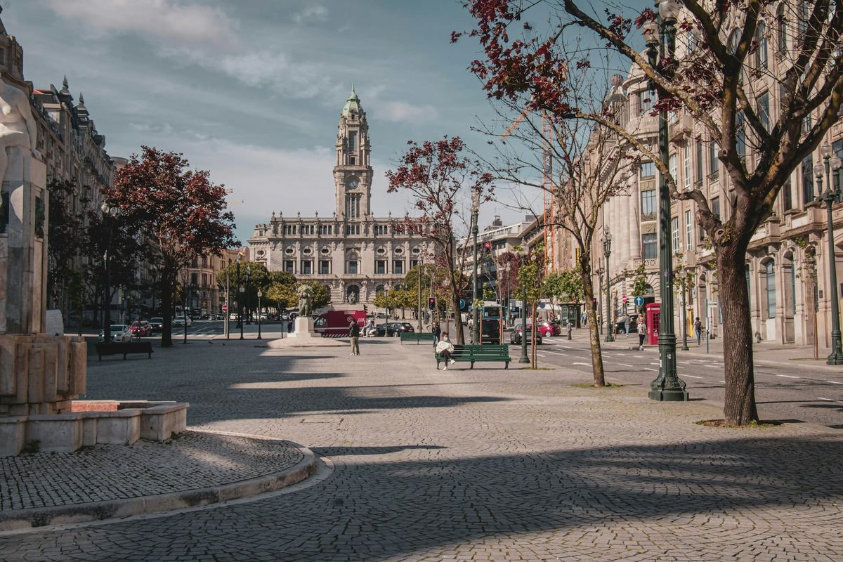 Os Aliados vão perder 19 árvores. E a Câmara está a avaliar as 225 das escolas municipais até ao fim de outubro