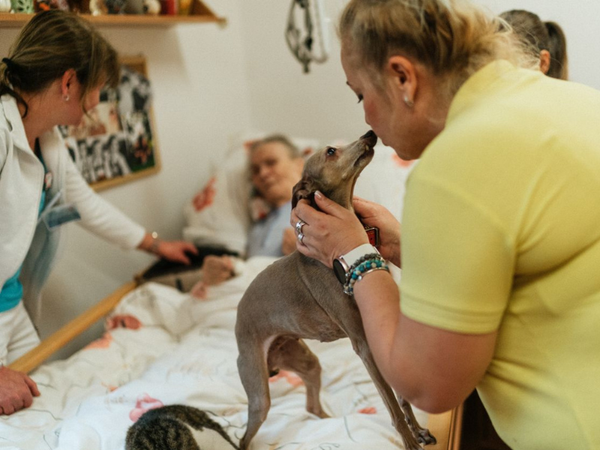 ULS São João cria condições para visitas de animais a doentes internados