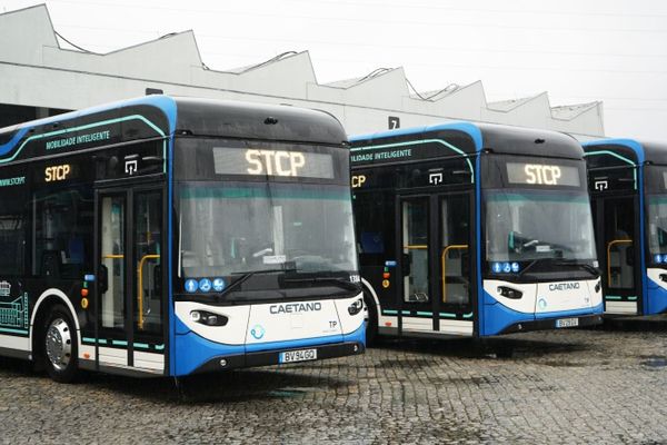STCP muda de horários em duas fases: o que entra em vigor a 31 de agosto e o que chega a 7 de setembro