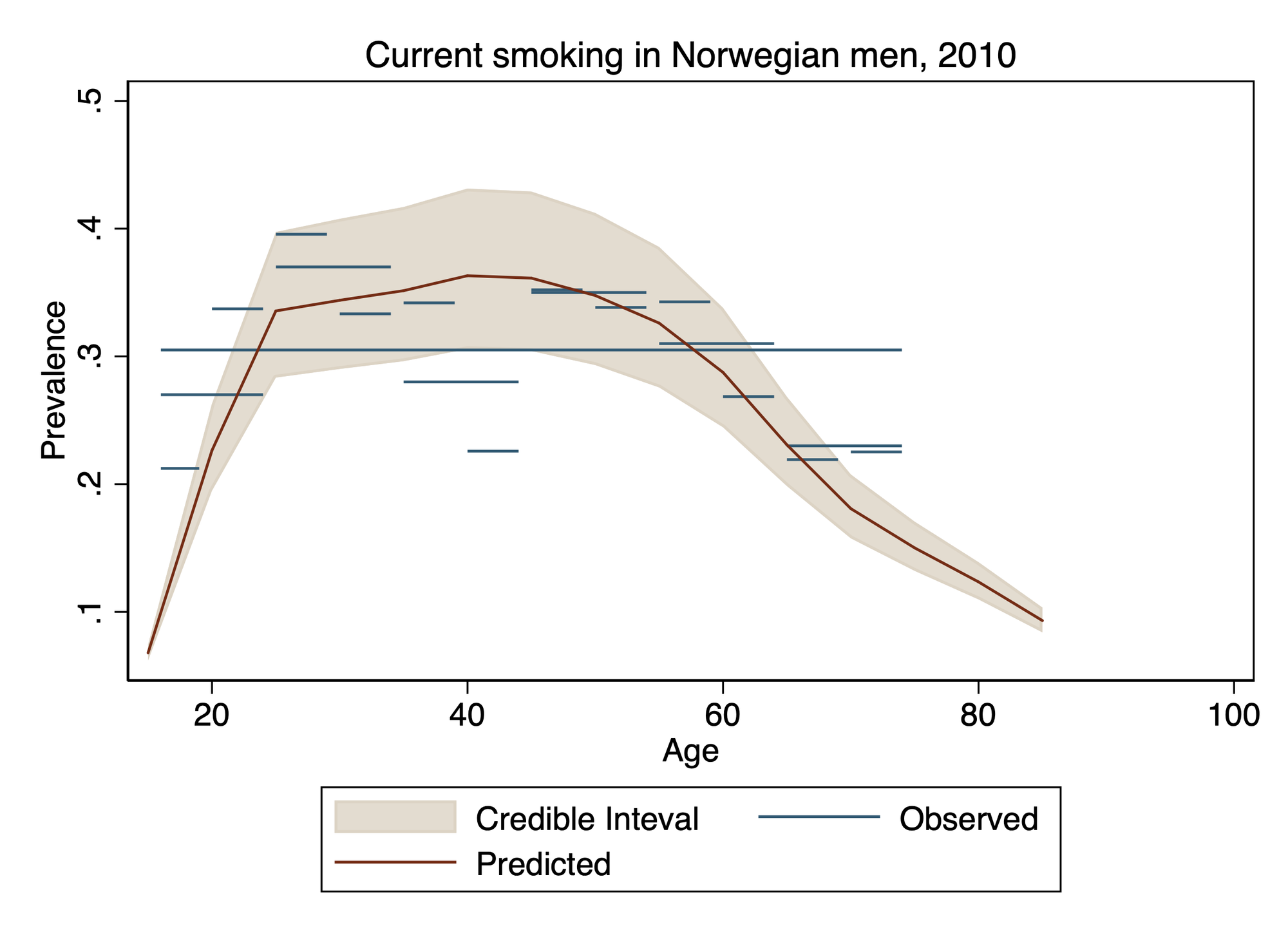Ghibli plot example.png