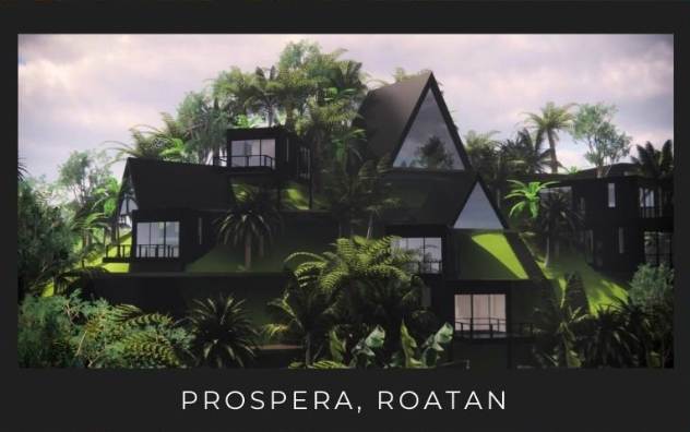 A house with trees around it

AI-generated content may be incorrect.