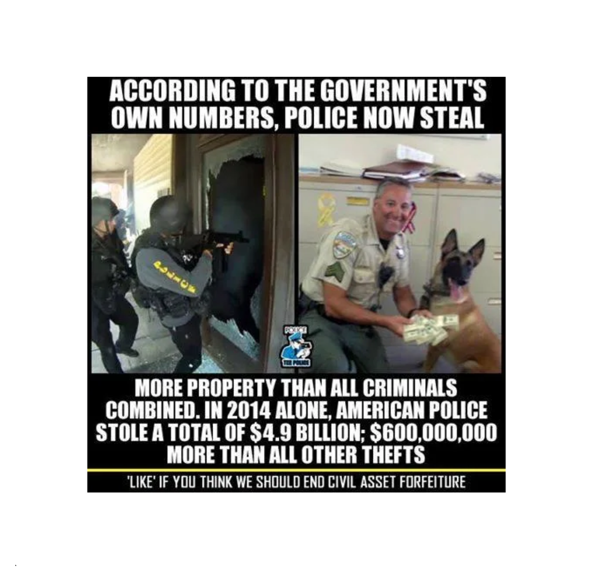 But Without Organized Crime "Government" What Would We do About Physical Protection, Policing & Crime?