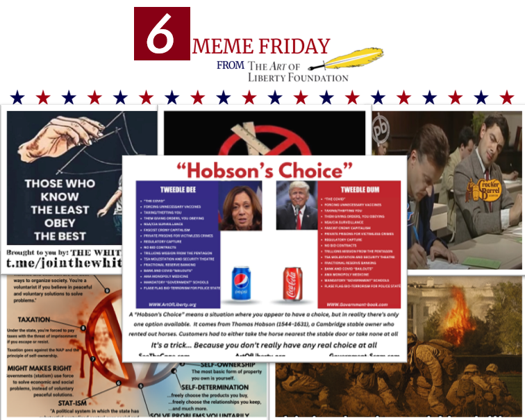 Fivememefri - Largest Vaxxed vs. Unvaxxed Study Ever...453% More Neurodevelopmental Issues