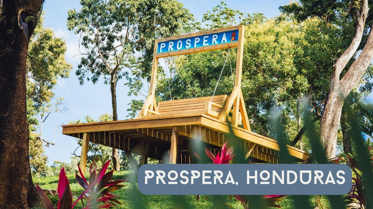 Daily News Digest - Summary for June 30 2025