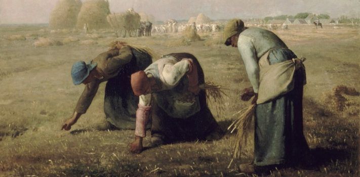 Daily News Digest - Summary for November 12 2025