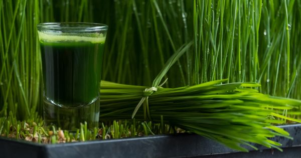 Daily News Digest - Summary for Octuber 22, 2024