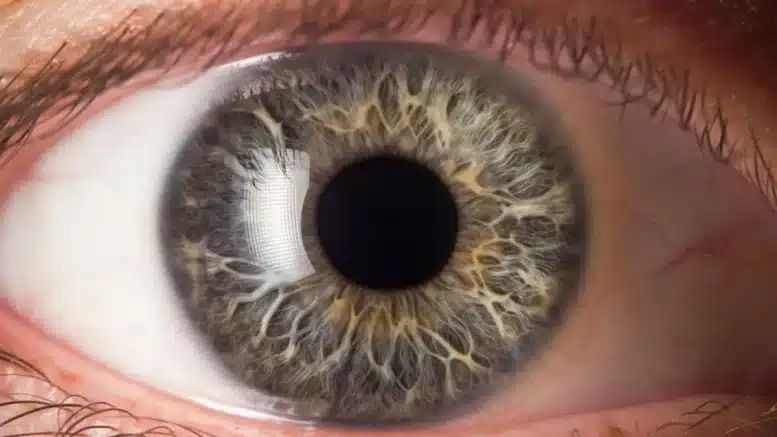 Daily News Digest - Summary for May 05 2025