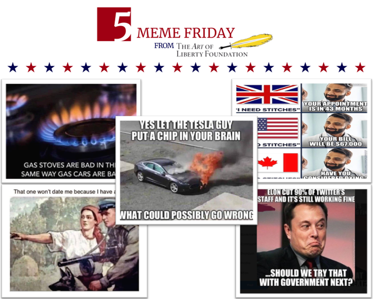 FiveMemeFri - Let the Tesla Guy Put a Chip in Your Brain?