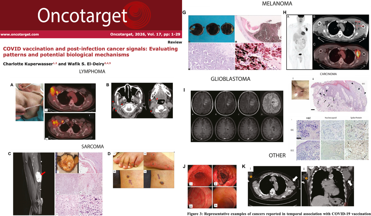 Daily News Digest - Summary for January 06, 2026