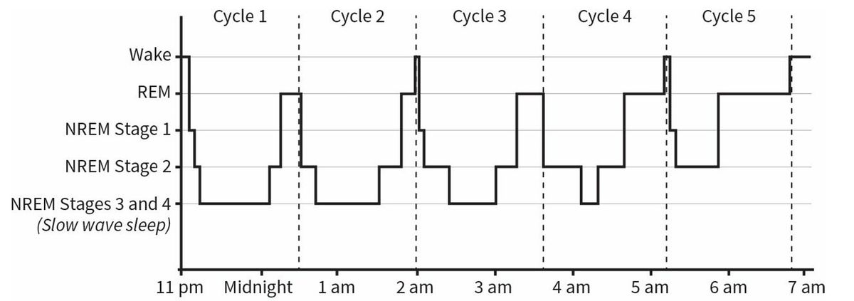 Daily News Digest - Summary for August 23, 2024