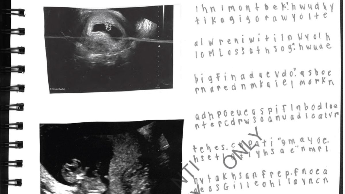 The Coded Journals in the Epstein Files That Hide a Teenage Girl’s Horrific Story