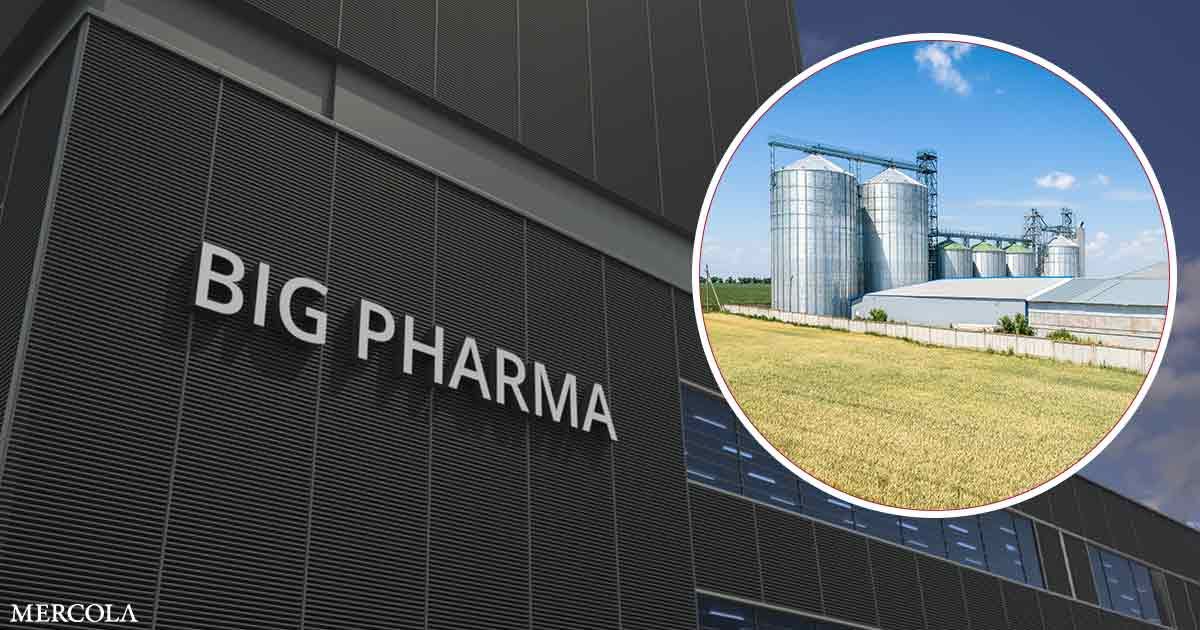 The Growing Consolidation of Agricultural and Pharmaceutical Industries and Its Impact on Health