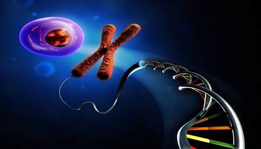 "Synthetic Biology" - The Science Delusion