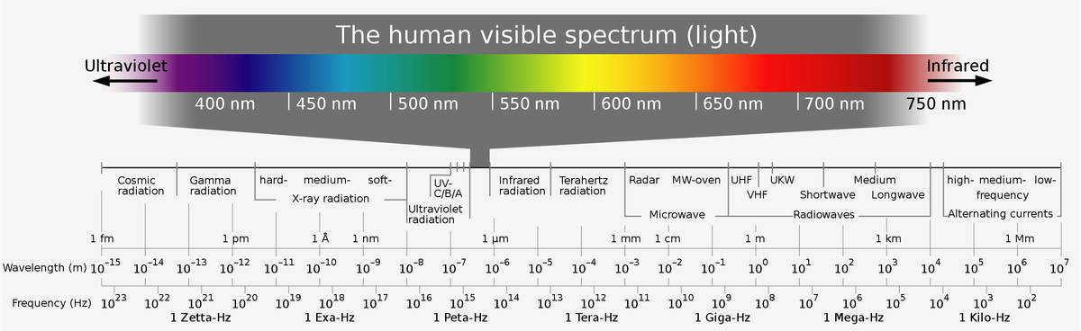 Natural Light is An Essential Nutrient