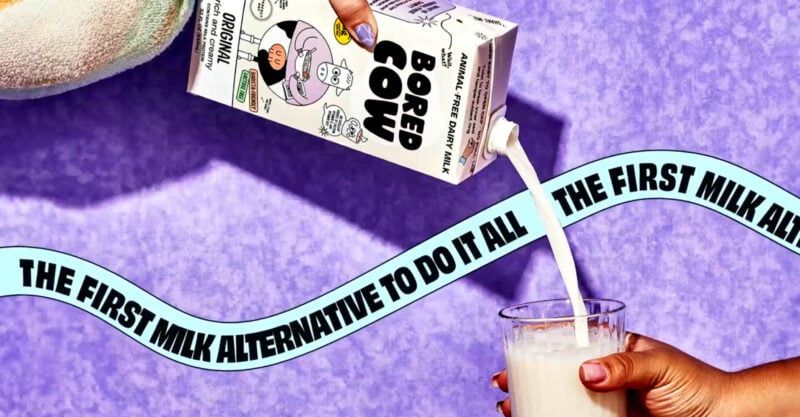 Bored Cow: Consuming This ‘Synbio’ Milk Could Be Hazardous to Your Health