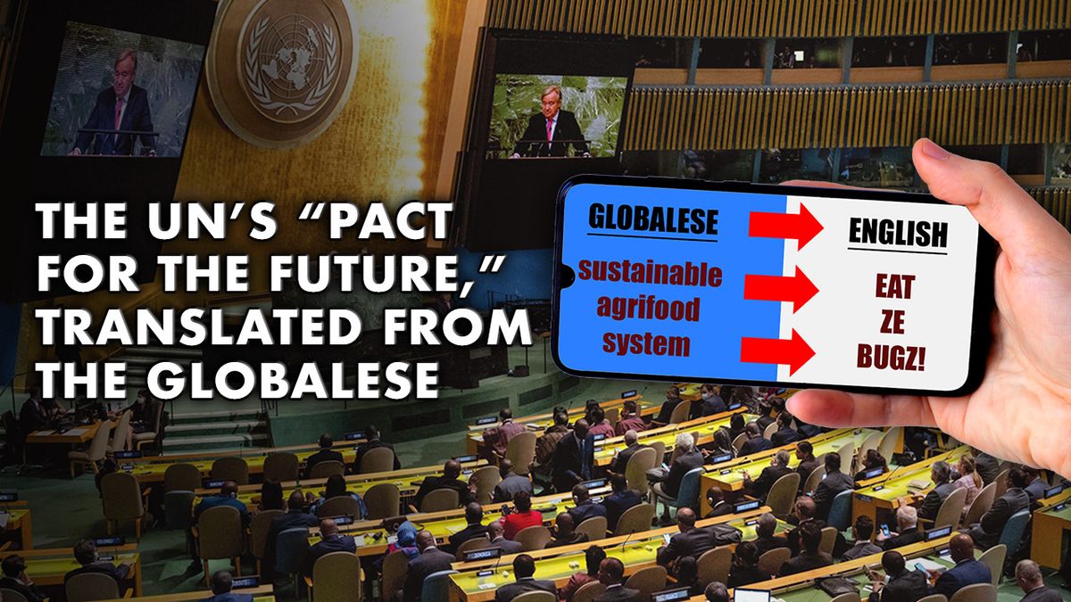 The UN's “Pact for the Future,” Translated From the Globalese