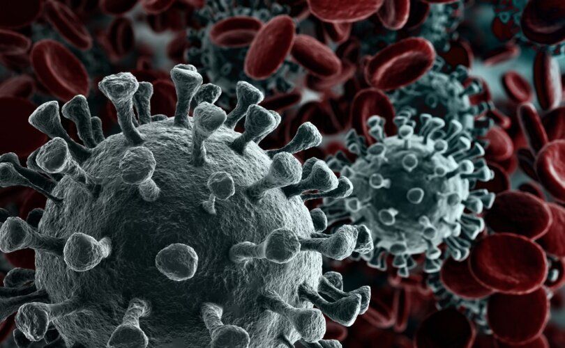 Scientists challenge fundamental precepts of virology. Do viruses even exist?
