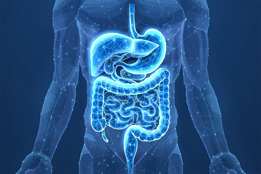 The Butyrate-GLP-1 Connection: Unlocking Satiety, Energy, and Inflammation Control