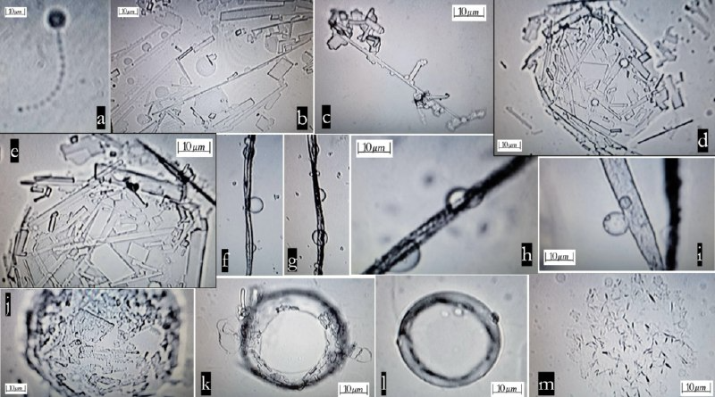 Scientists: Real-Time Self-Assembly Structures Revealed In 2-Year Study Of Pfizer And Moderna Covid-19 Shots