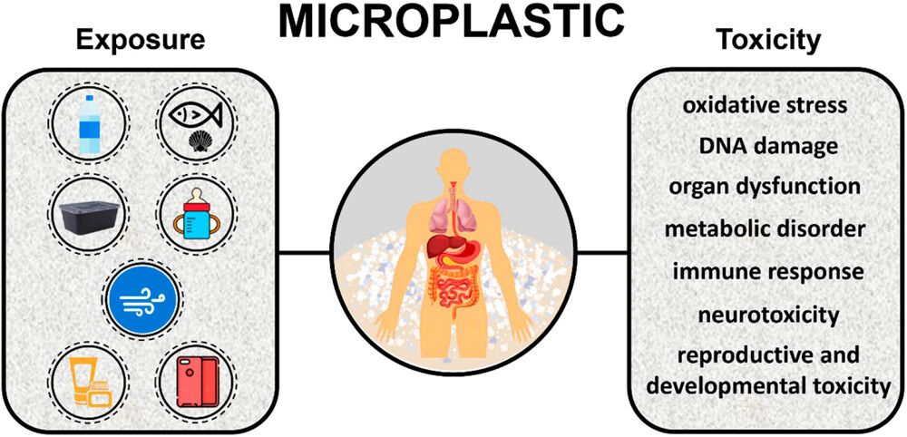Health Impact of Microplastics: A Review of Environmental Distribution, Human Exposure, Toxic Effects And Relationship To Chronic Diseases