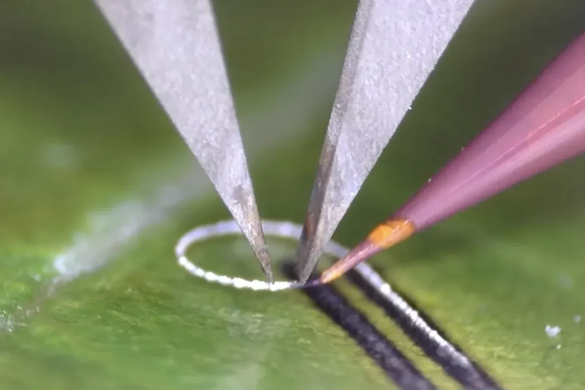 Focused microwaves allow 3D printers to fuse circuits onto almost anything