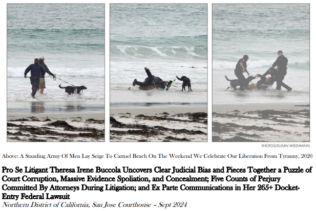 Artist Theresa Buccola, Arrested for Being on the Beach During Covid, Is Finally Getting Her Day in Court