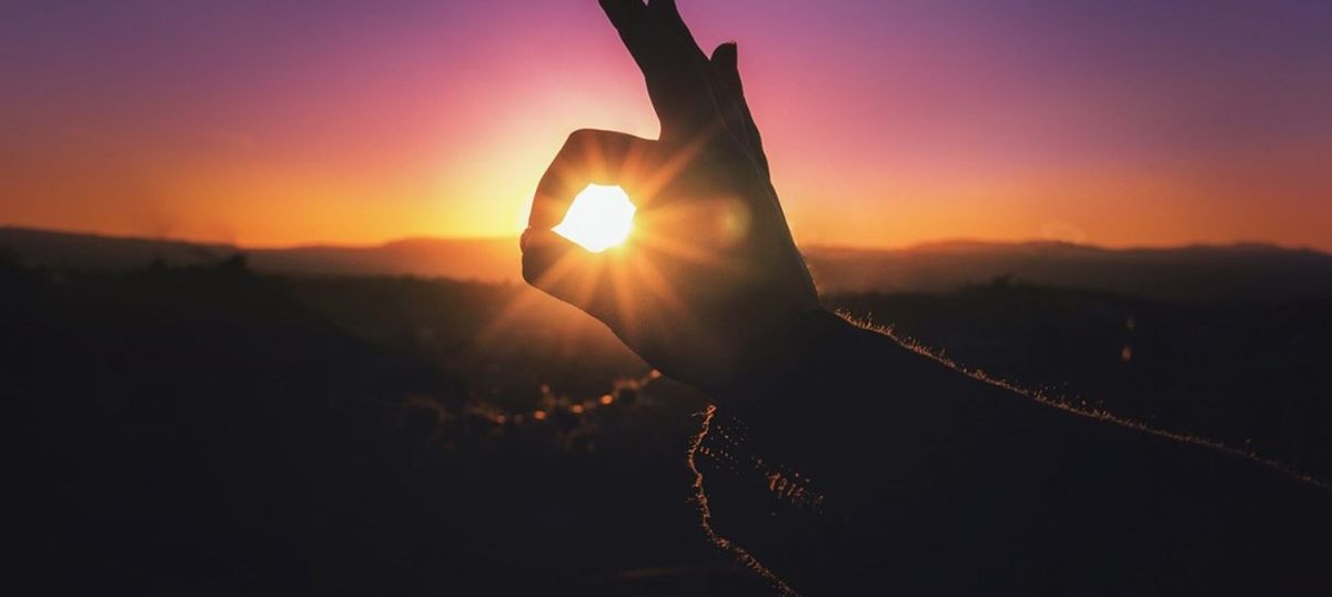 Natural Light is An Essential Nutrient