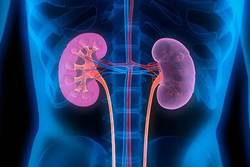 The Hidden Connection Between Glyphosate and Kidney Disease