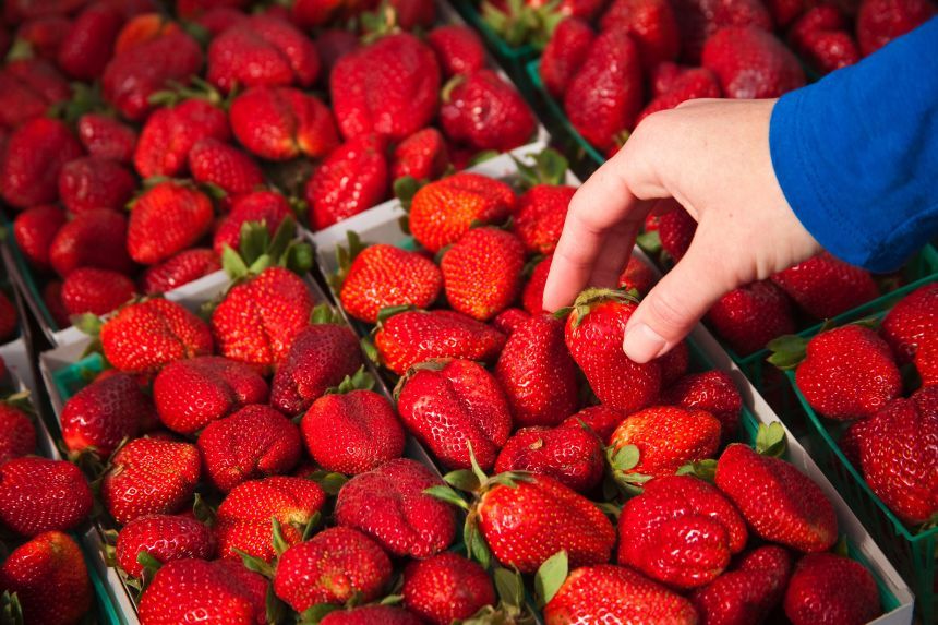 A surprising percentage of produce from the nation’s largest supplier contains ‘forever’ pesticides