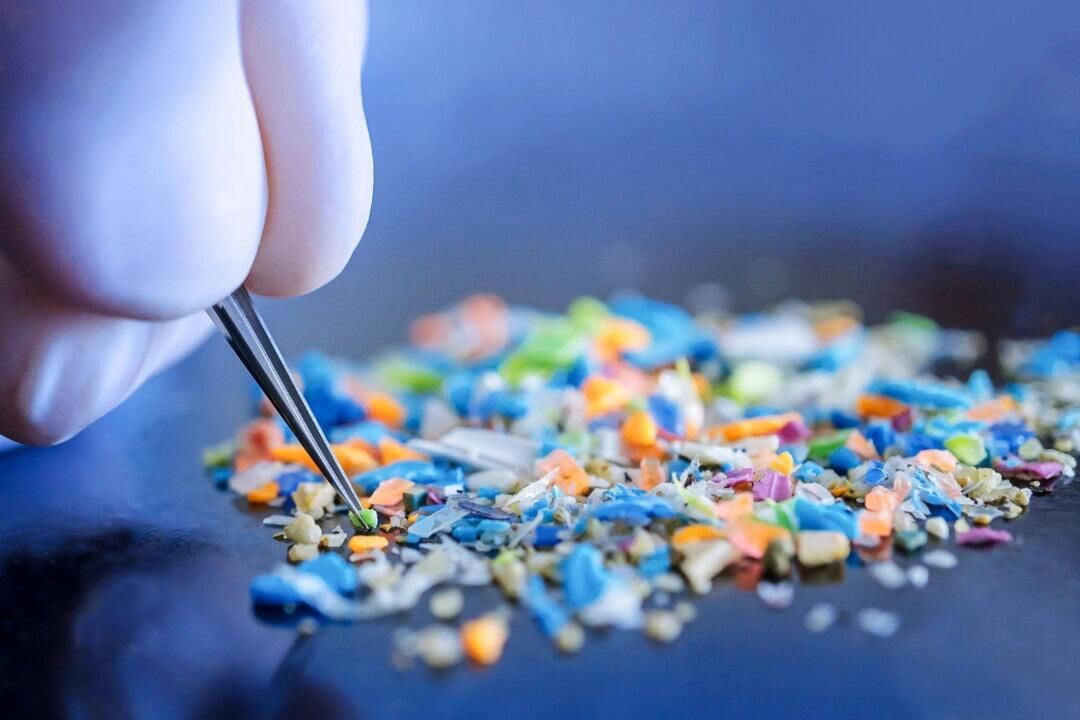 Microplastics Found In Brain Weighs As Much As A Plastic Spoon: Study