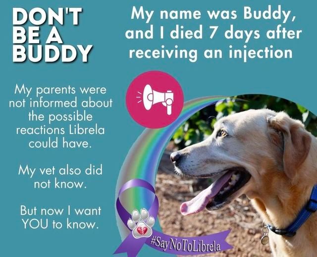 Pet owners, beware! FDA-Approved Drug Linked to Severe Health Issues and Fatalities in Pets
