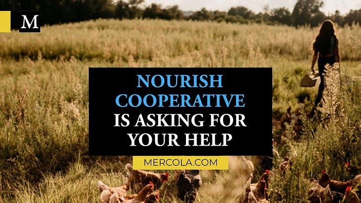 Government Raid Seizes $90,000 of Healthy Food Grown by Nourish Cooperative
