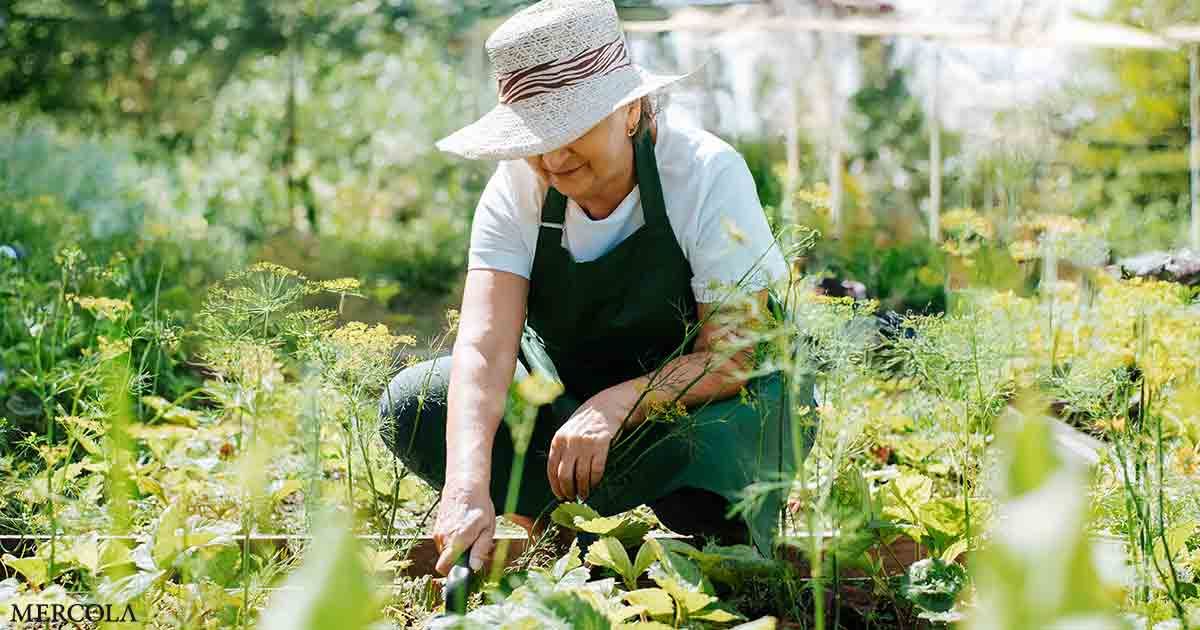 Garden Therapy: Why Getting Your Hands Dirty Is the Best 'Medicine'