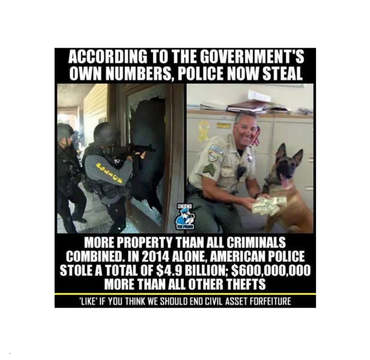 But Without Organized Crime "Government" What Would We do About Physical Protection, Policing & Crime?