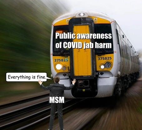 The Rest of the Story - Steve Kirsch's MIT Speech on NZ Whistleblower Barry Young's Revelations Proving C-19 "Vaccines" Killing Millions