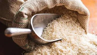 Daily News Digest - Summary for August 11 2025