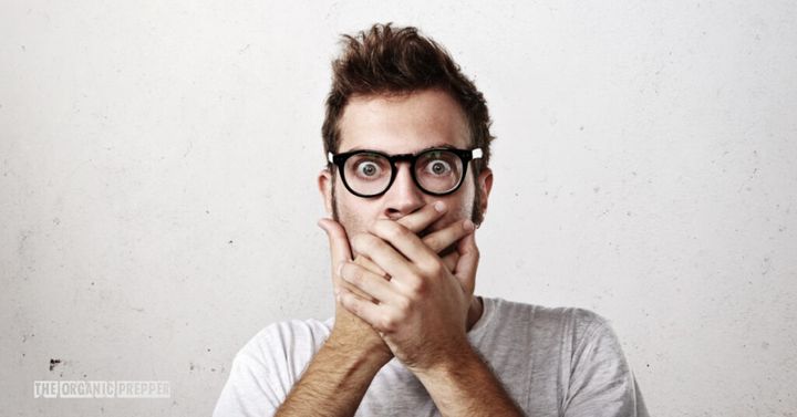 Daily News Digest - Summary for November 21 2025