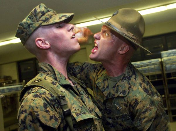 The Military is Gay