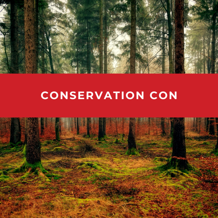 Daily News Digest - Summary for April 26, 2024