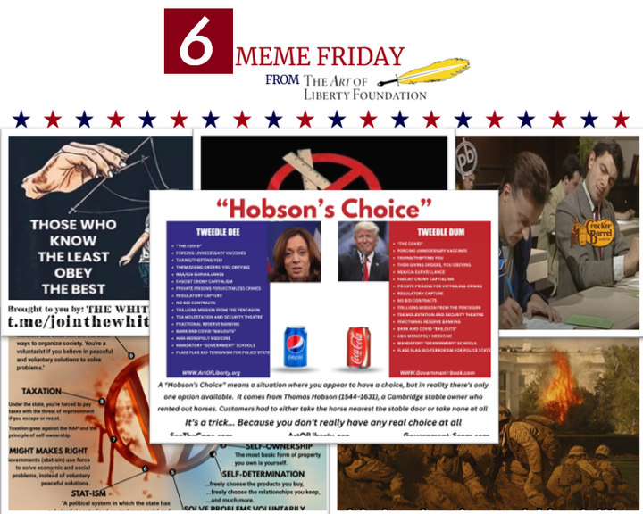 Fivememefri - Largest Vaxxed vs. Unvaxxed Study Ever...453% More Neurodevelopmental Issues