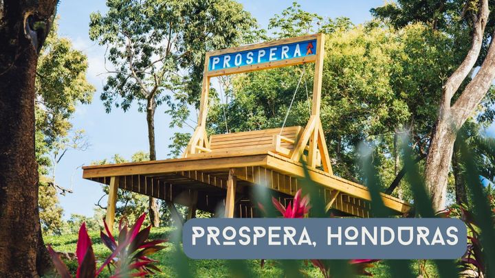 Daily News Digest - Summary for June 30 2025