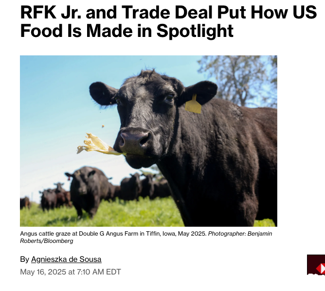 Daily News Digest - Summary for May 21 2025