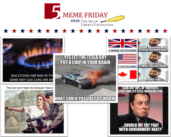 FiveMemeFri - Let the Tesla Guy Put a Chip in Your Brain?