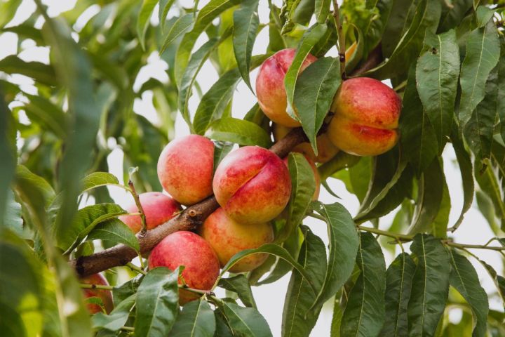 Daily News Digest - Summary for December 23 2025