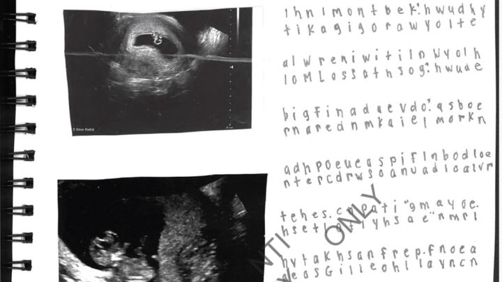 The Coded Journals in the Epstein Files That Hide a Teenage Girl’s Horrific Story