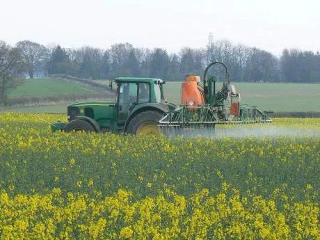 Herbicide drift destroying organic crops on Central Illinois farms