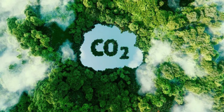 Oops, Science Was “Settled”—Until It Wasn’t: Plants Absorb 31% More CO₂ Than We Thought